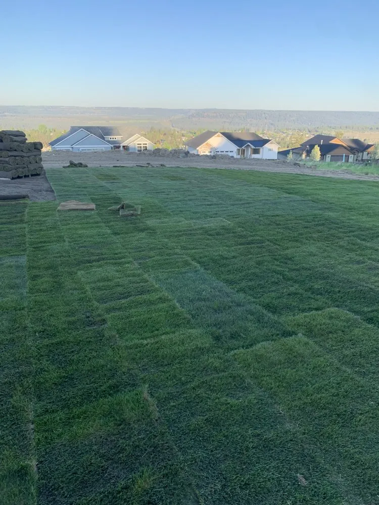 Trusted yard cleanup service experts serving Spokane, WA - Silver Stream