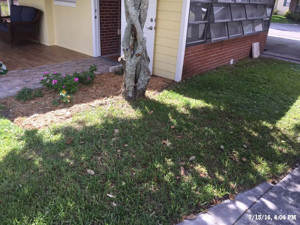 Top-rated lawn mowing service in Mount Dora, FL by Silver T Lawn Service