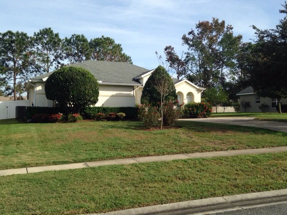 Custom yard cleanup service experts serving Mount Dora, FL - Silver T Lawn Service