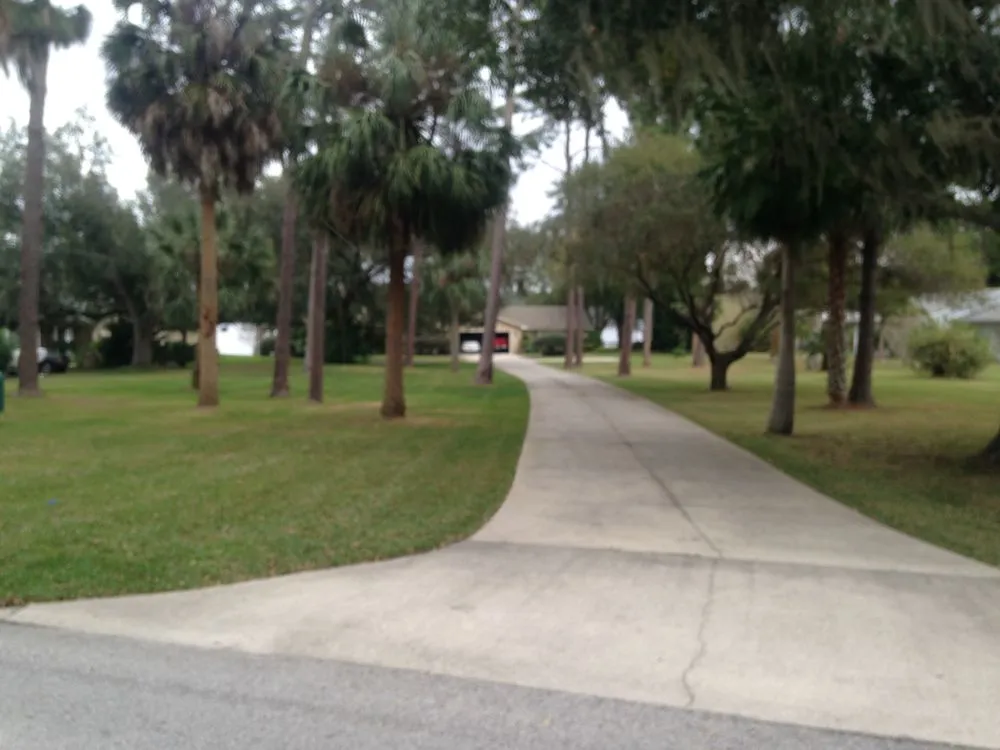 Professional landscape installation in Mount Dora, FL by Silver T Lawn Service