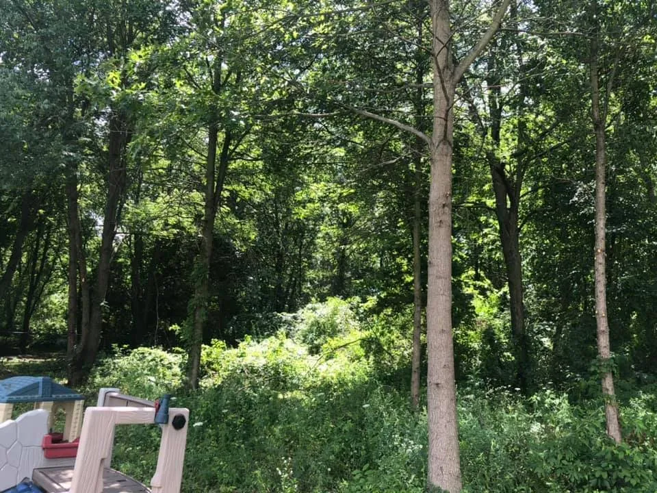 Custom lawn care service in Romulus, MI - Silver Touch Landscaping