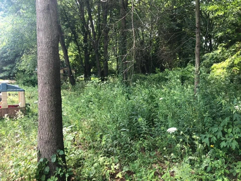 Top-rated yard cleanup service experts serving Romulus, MI - Silver Touch Landscaping