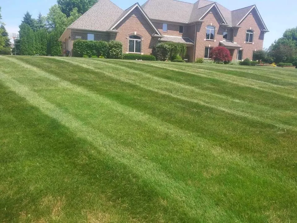 Professional landscaping services in Romulus, MI by Silver Touch Landscaping