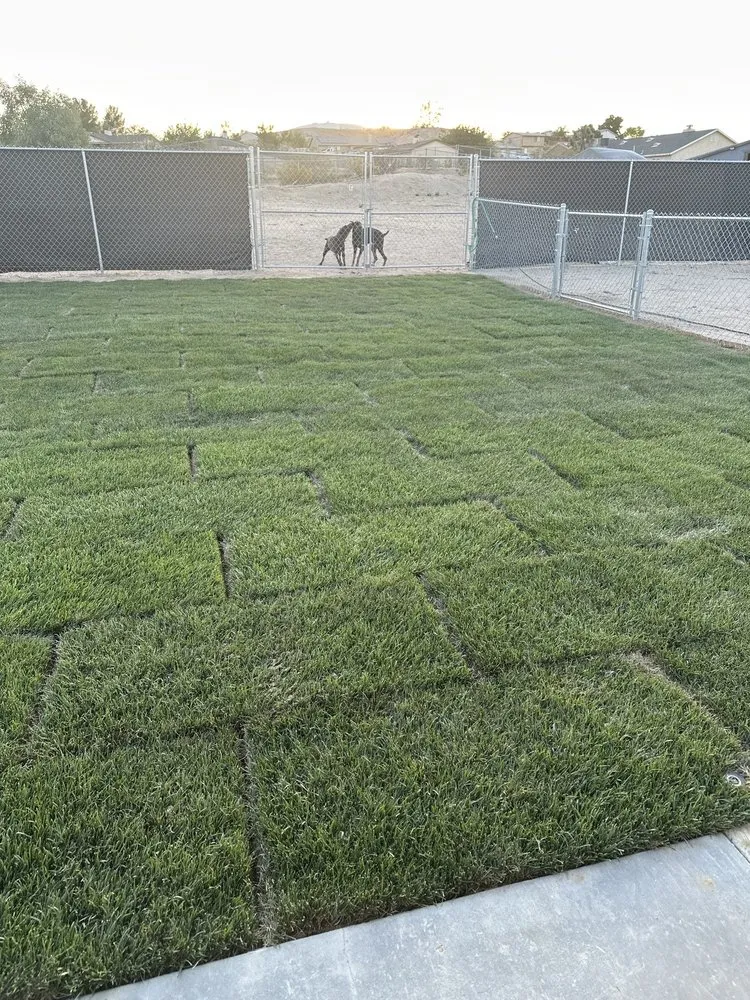 Professional landscape design for residential properties across Adelanto, CA - Silverado Landscape