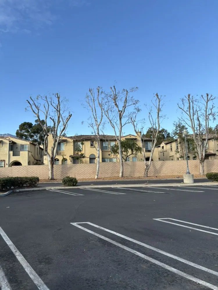 Reliable landscaping services in Adelanto, CA - Silverado Landscape