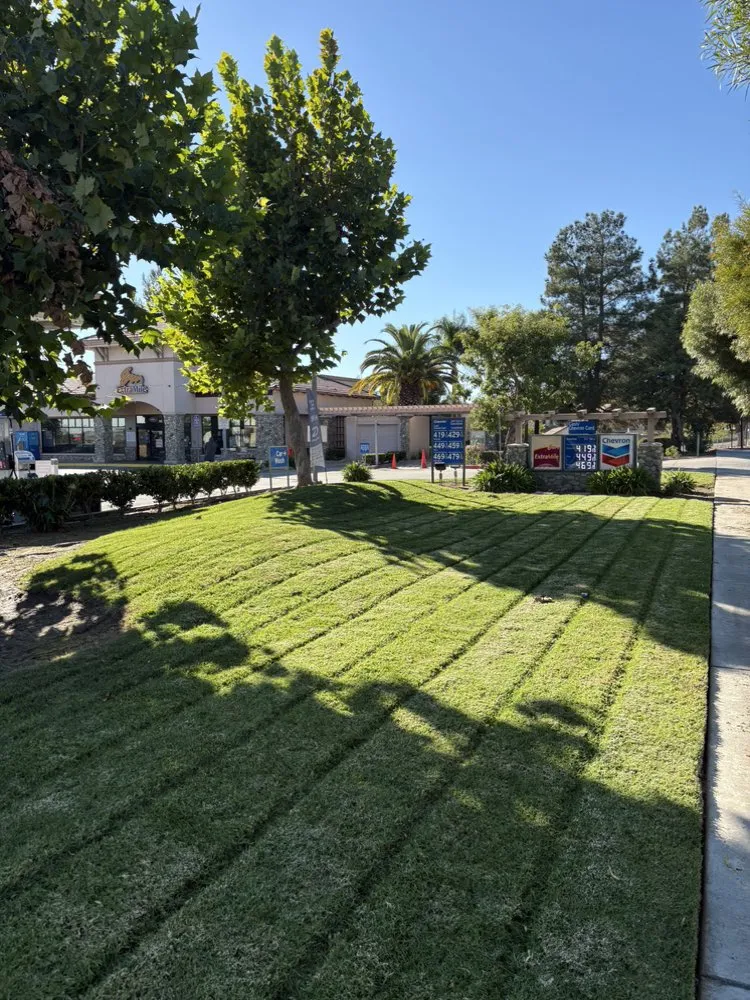 Top-rated landscape installation near you in Adelanto, CA by Silverado Landscape