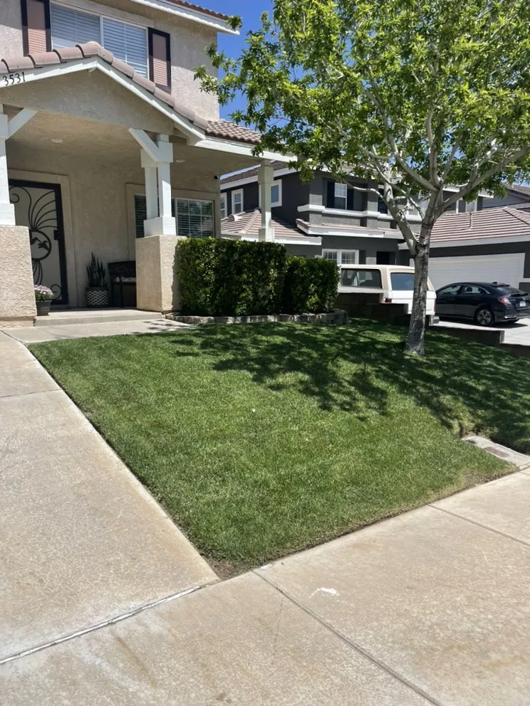 Custom lawn care service in Adelanto, CA - Silverado Landscape