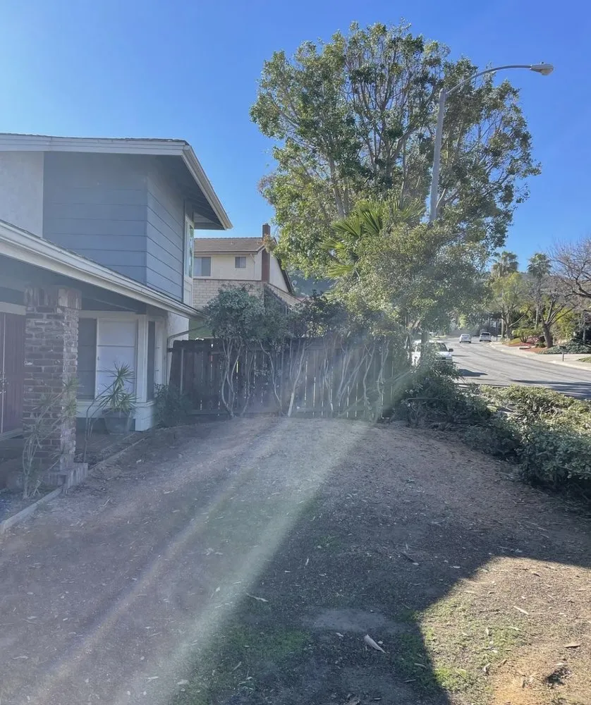 Reliable residential landscaping for year-round maintenance in Adelanto, CA by Silverado Landscape