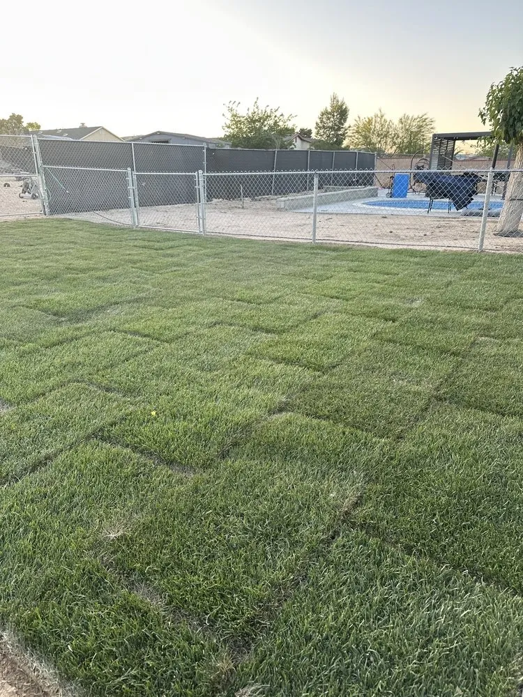Expert yard cleanup service in Adelanto, CA by Silverado Landscape