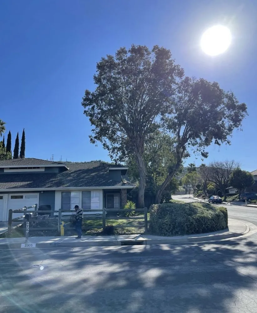 Expert yard maintenance in Adelanto, CA by Silverado Landscape