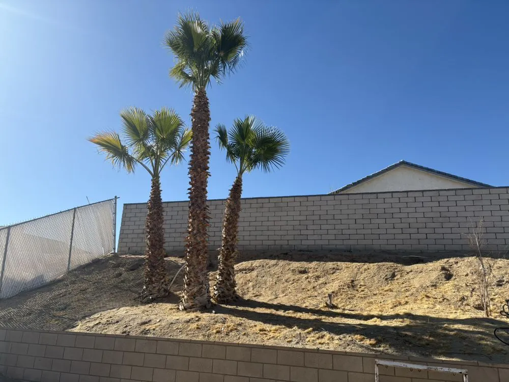 Custom landscape installation for beautiful yards across Adelanto, CA - Silverado Landscape