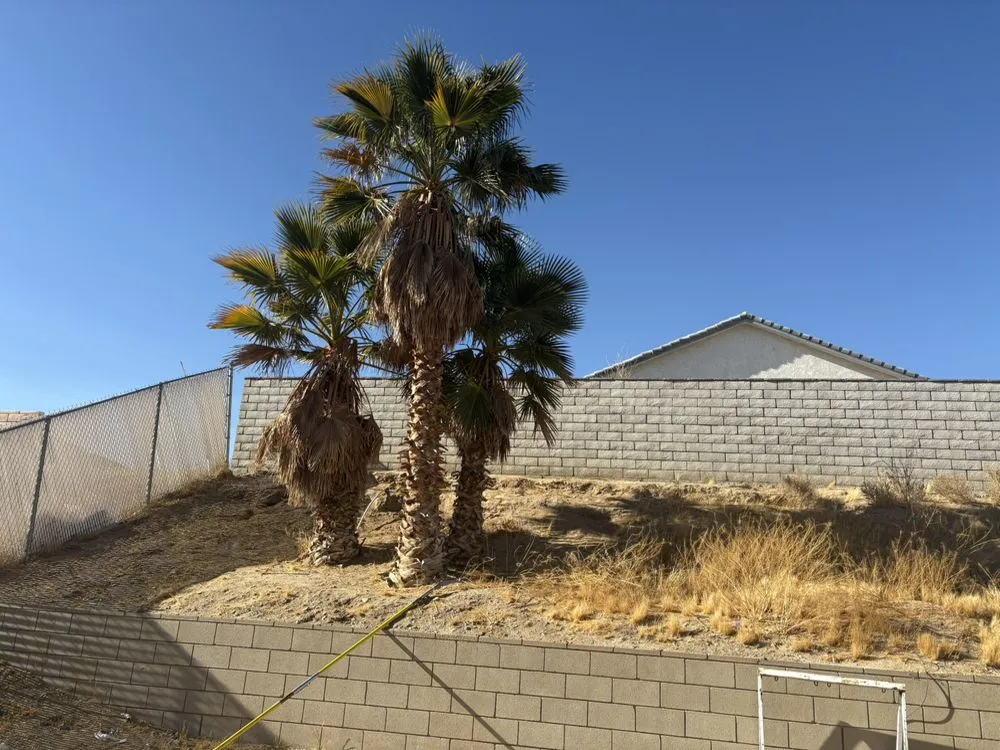 Trusted landscaping services for outdoor upgrades across Adelanto, CA - Silverado Landscape