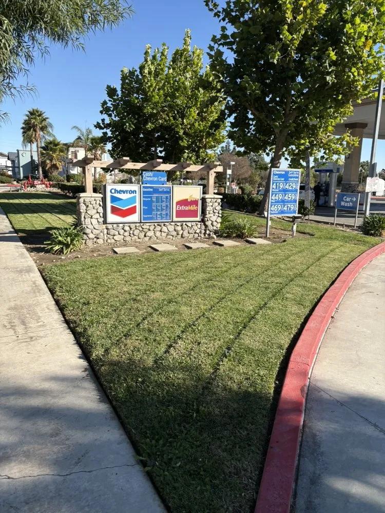 Trusted yard cleanup service experts serving Adelanto, CA - Silverado Landscape