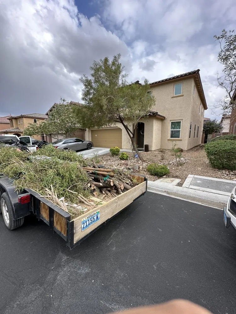 Affordable lawn care service experts serving Las Vegas, NV - Silverado Landscapes