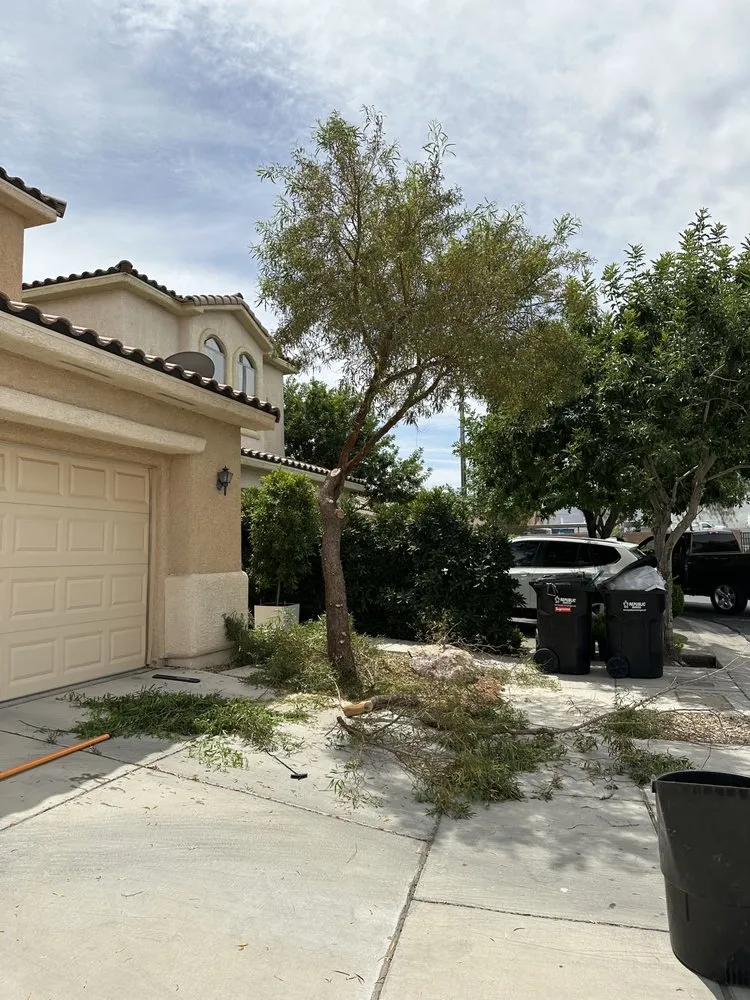 Professional landscape design for homes across Las Vegas, NV - Silverado Landscapes