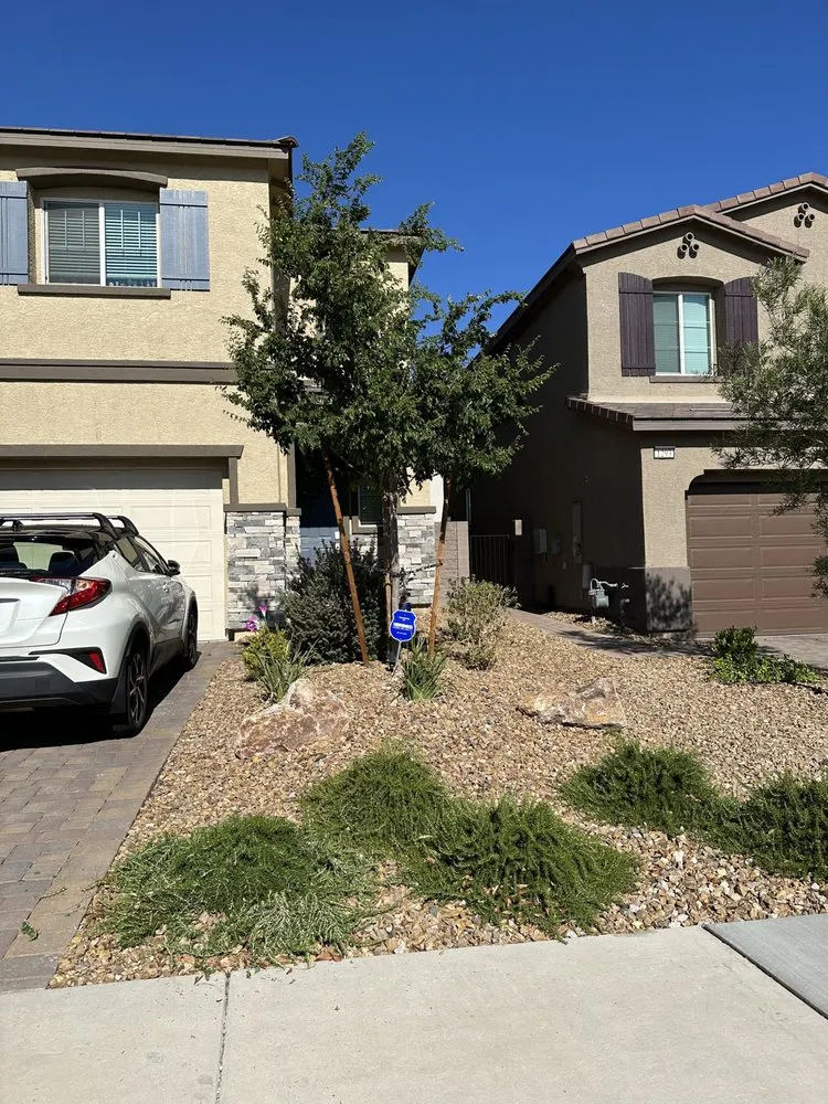 Affordable yard maintenance for outdoor upgrades across Las Vegas, NV - Silverado Landscapes