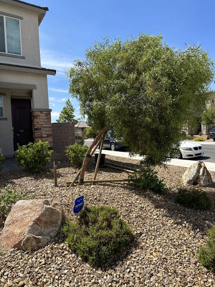 Custom landscaping services in Las Vegas, NV - Silverado Landscapes