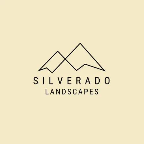 Custom yard maintenance for beautiful yards in Las Vegas, NV by Silverado Landscapes