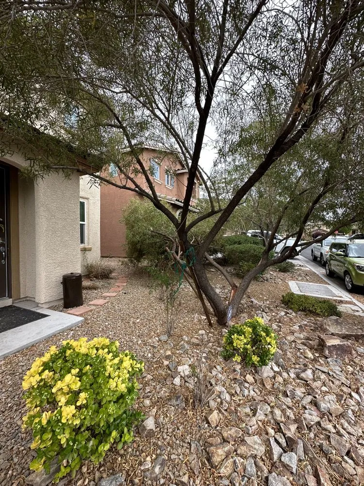 Custom landscaping services in Las Vegas, NV - Silverado Landscapes