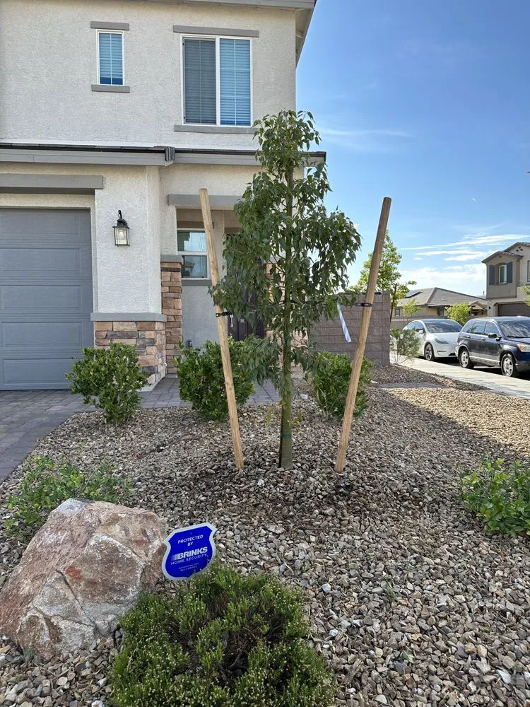 Local yard cleanup service in Las Vegas, NV by Silverado Landscapes