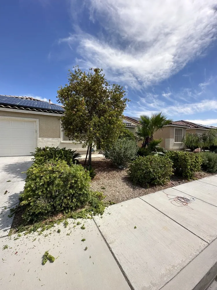 Custom landscape design for year-round maintenance across Las Vegas, NV - Silverado Landscapes