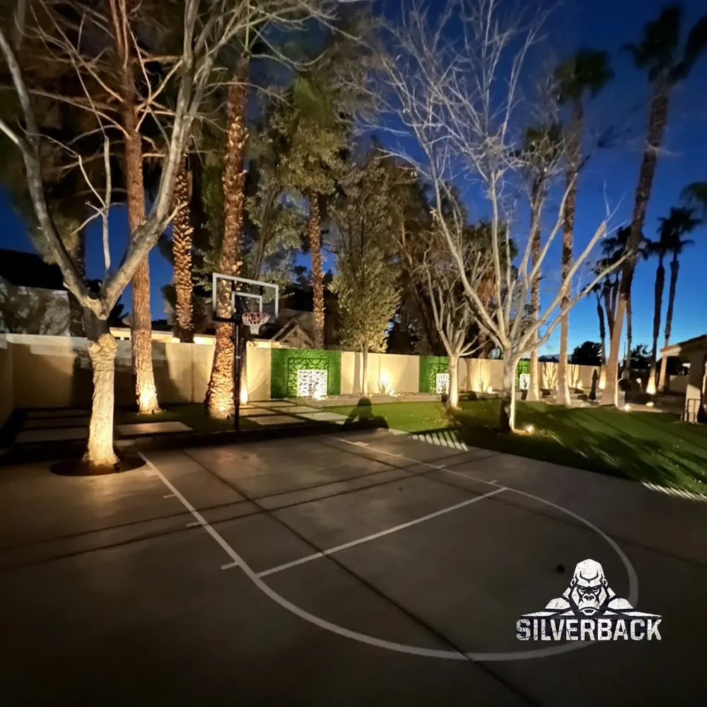 Custom outdoor landscaping in Las Vegas, NV by Silverback Hardscape