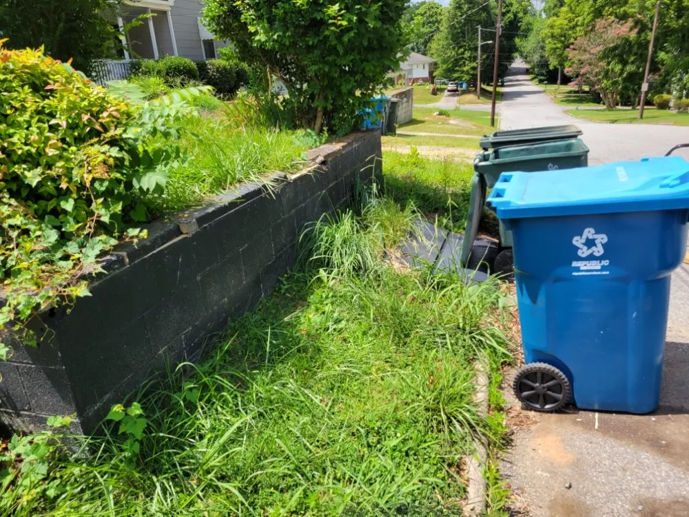 Top-rated garden landscaping experts serving Salisbury, NC - Silverback lawn and handyman service