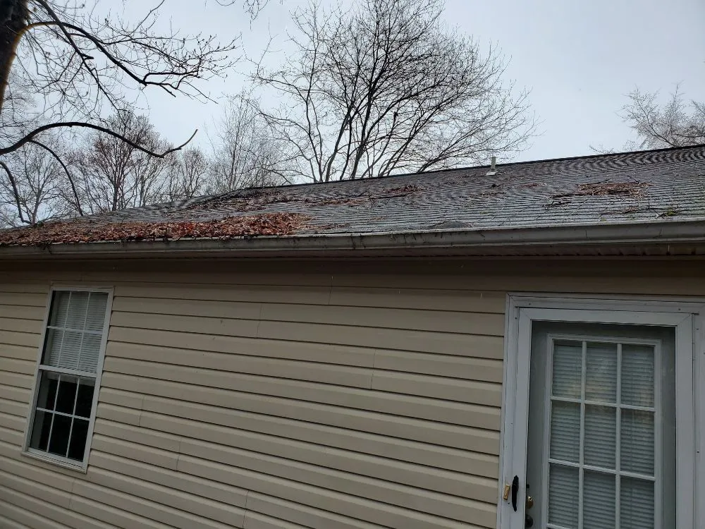 Expert landscaping services for beautiful yards in Salisbury, NC by Silverback lawn and handyman service