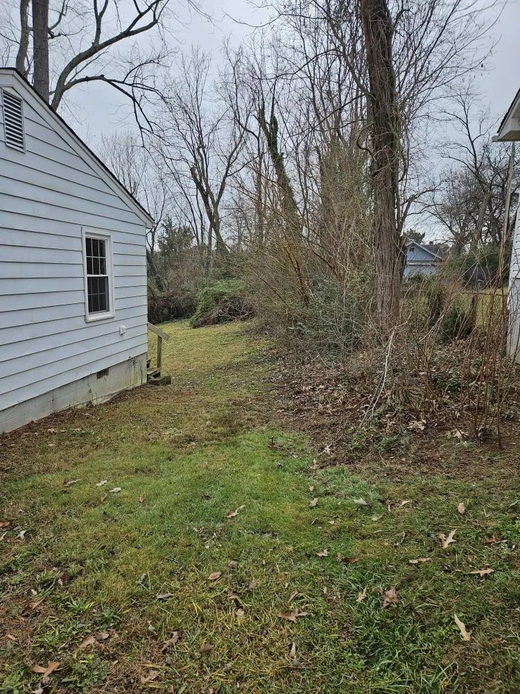 Expert yard cleanup service in Salisbury, NC by Silverback lawn and handyman service