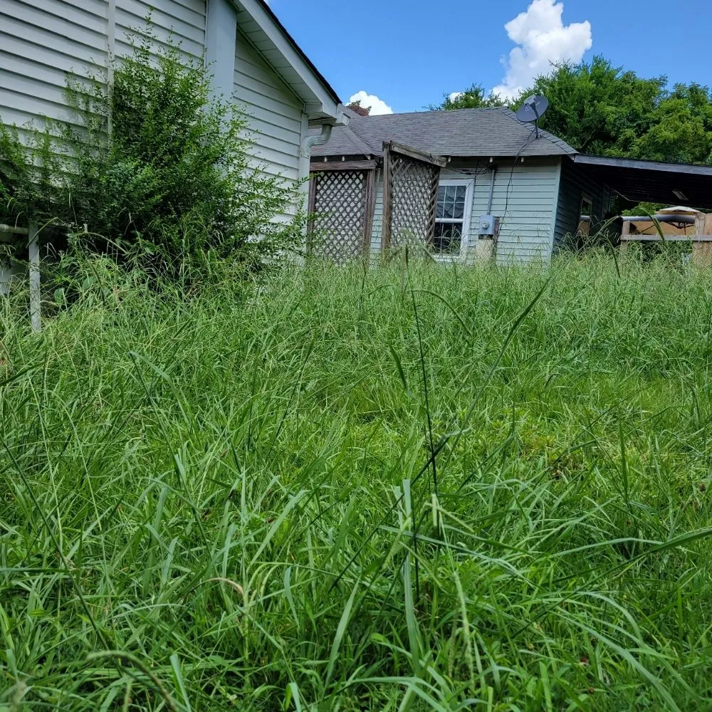 Reliable outdoor landscaping with custom design in Salisbury, NC by Silverback lawn and handyman service