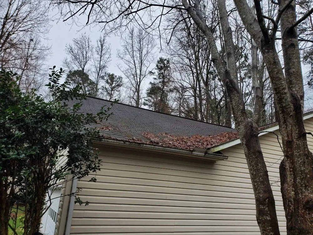 Affordable yard maintenance in Salisbury, NC - Silverback lawn and handyman service