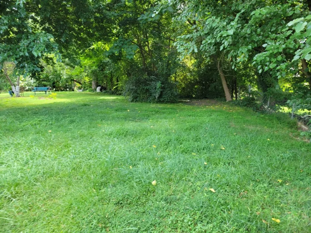 Custom landscape installation for homes in Salisbury, NC by Silverback lawn and handyman service