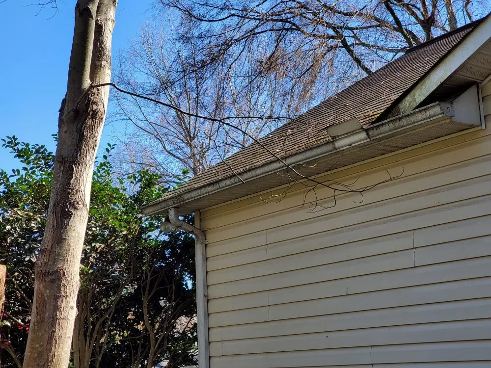 Local garden landscaping experts serving Salisbury, NC - Silverback lawn and handyman service