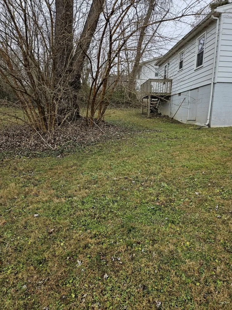 Reliable garden landscaping for beautiful yards in Salisbury, NC by Silverback lawn and handyman service