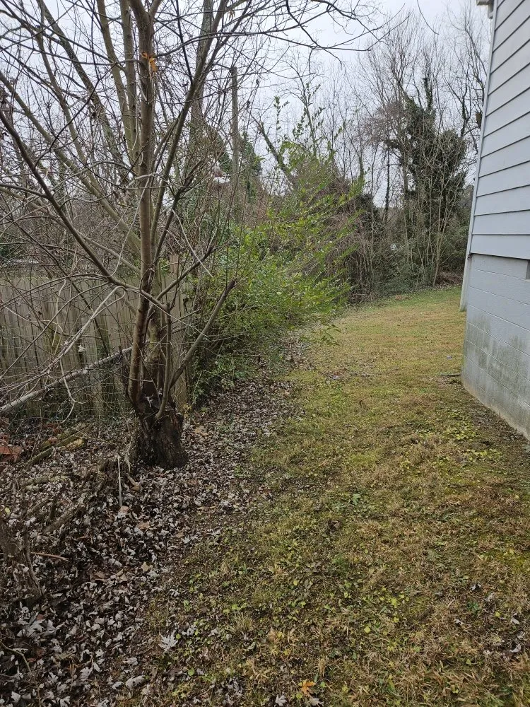 Expert residential landscaping in Salisbury, NC - Silverback lawn and handyman service