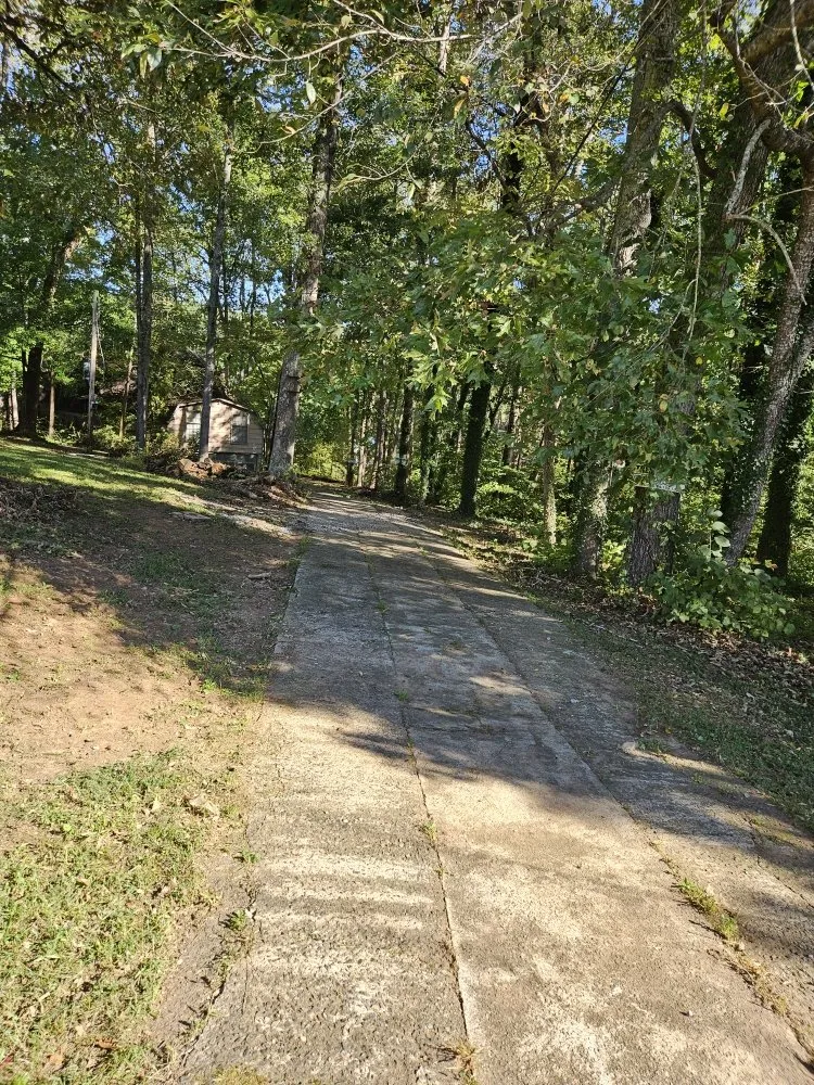 Affordable residential landscaping for outdoor upgrades across Salisbury, NC - Silverback lawn and handyman service