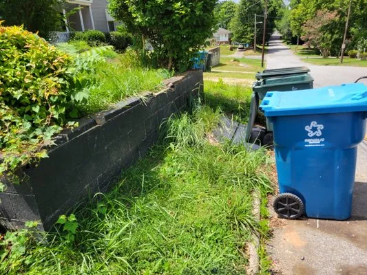 Silverback lawn and handyman service