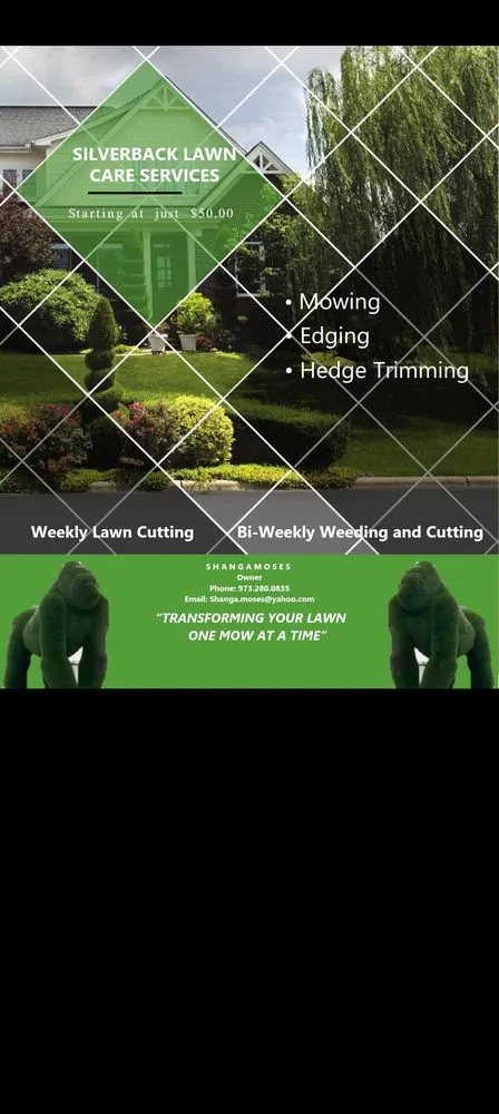 Professional lawn mowing service in McDonough, GA by Silverback Lawn Care Services