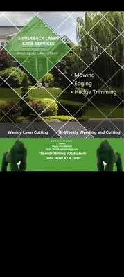 Silverback Lawn Care Services Logo