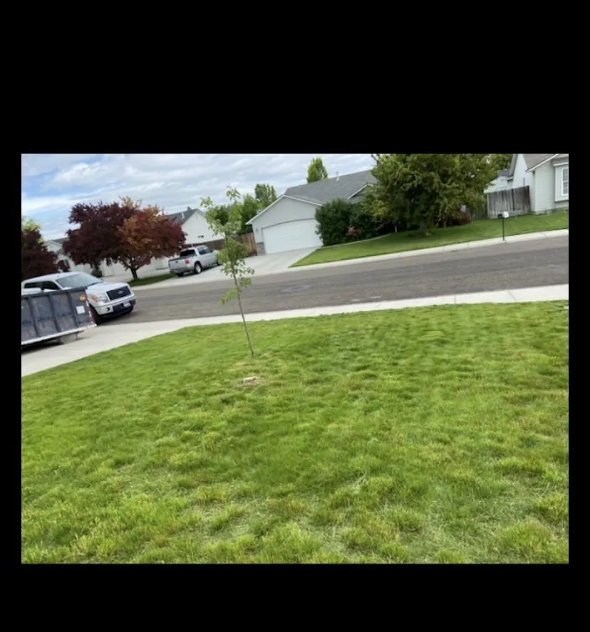 Expert landscape installation for residential properties in Caldwell, ID by Silverback Lawn Mowing Service
