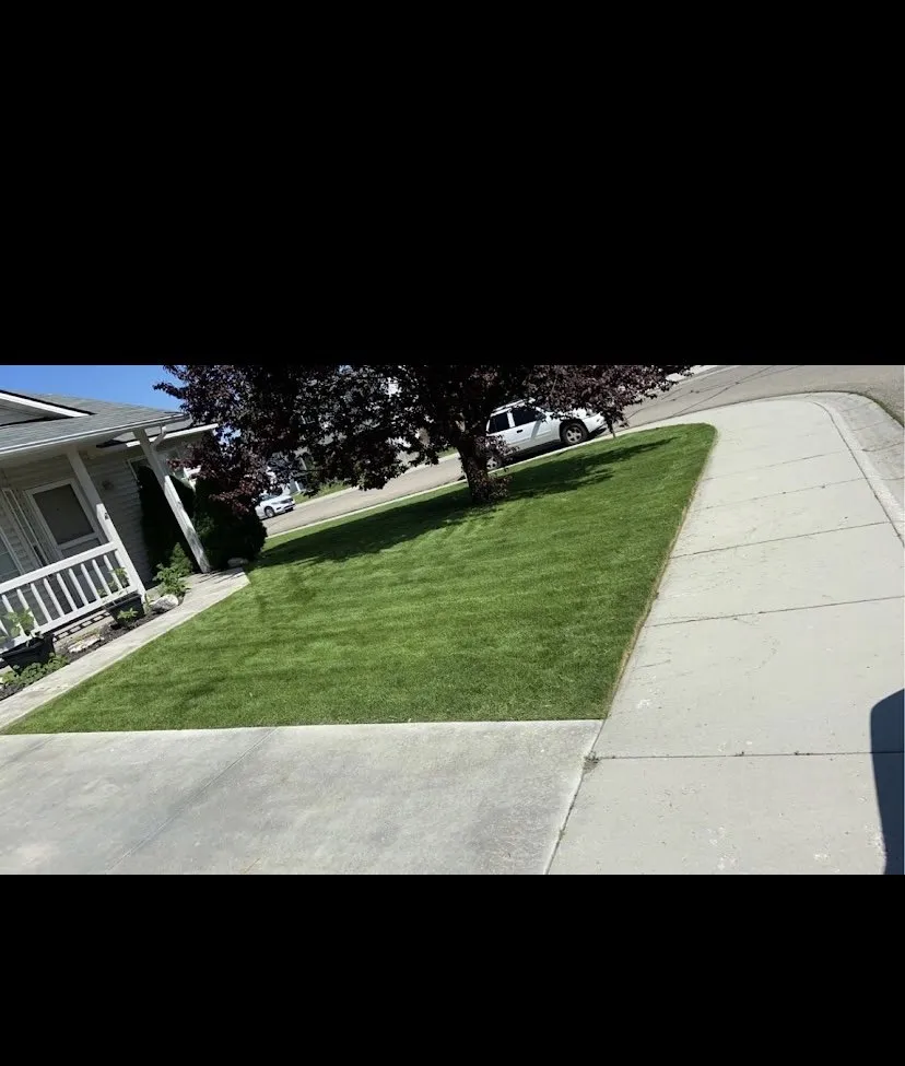 Local lawn mowing service near you in Caldwell, ID by Silverback Lawn Mowing Service