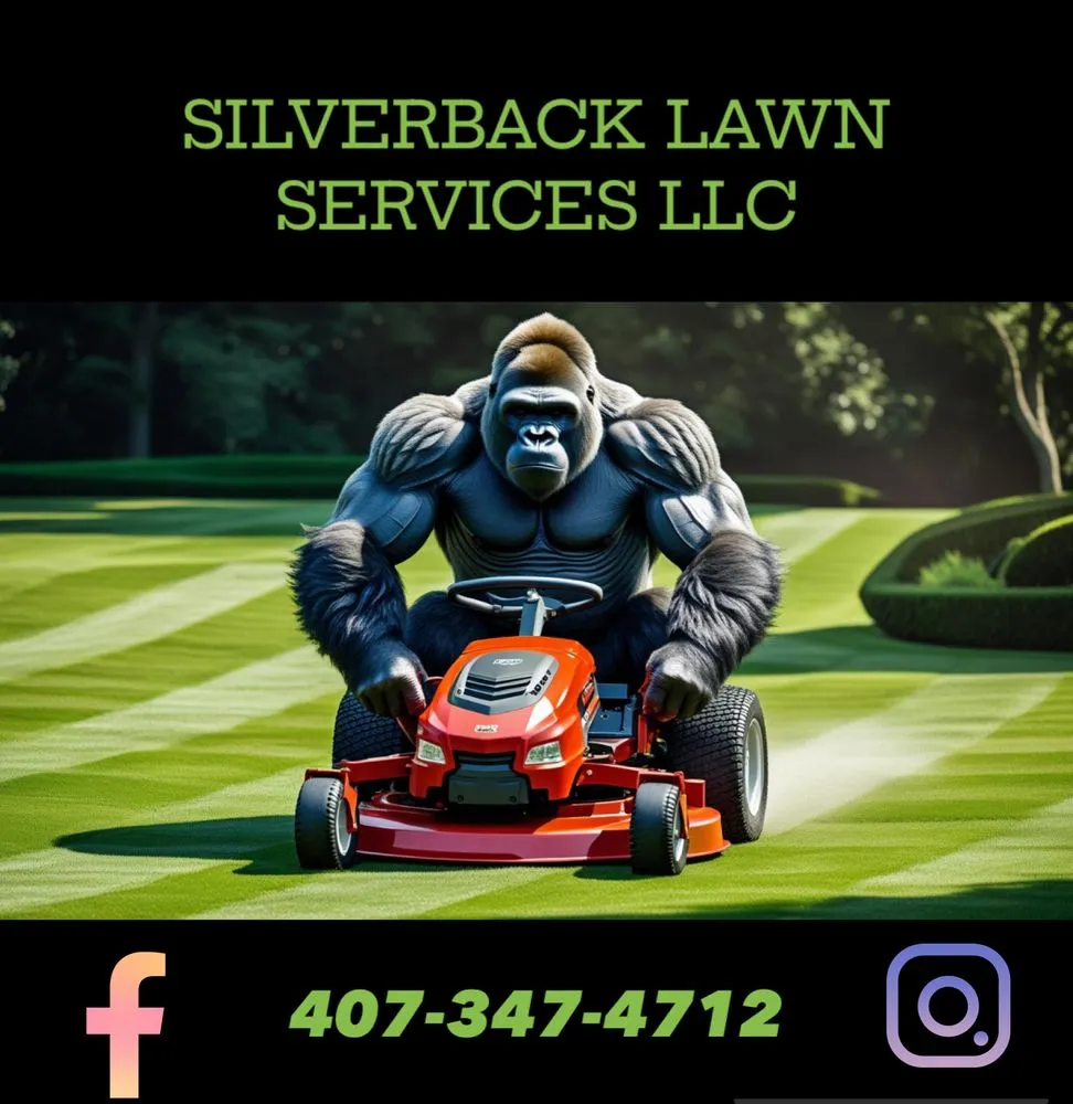 Reliable lawn care service experts serving Ocala, FL - Silverback Lawn Services