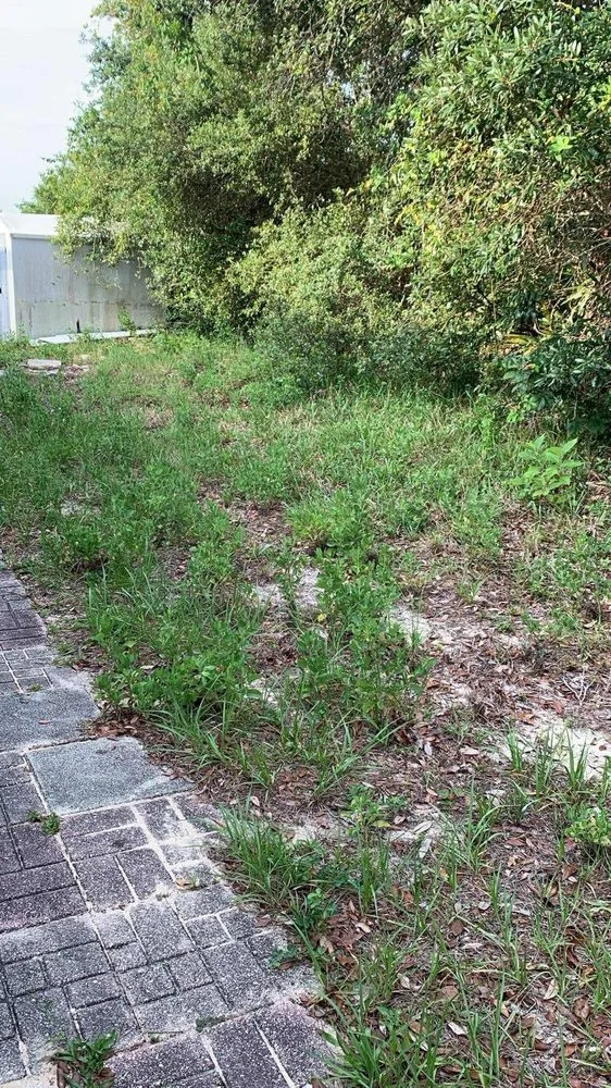 Trusted landscaping services for year-round maintenance across Ocala, FL - Silverback Lawn Services