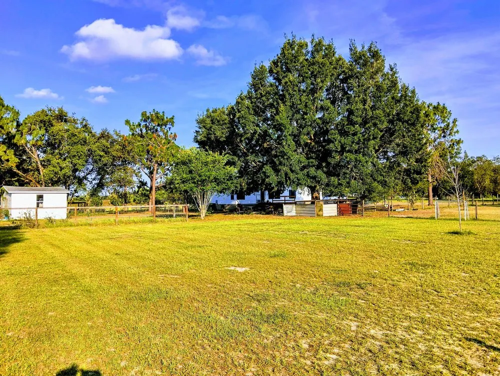 Top-rated garden landscaping in Ocala, FL - Silverback Lawn Services