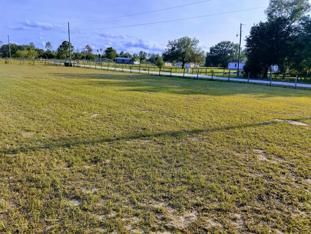 Top-rated garden landscaping experts serving Ocala, FL - Silverback Lawn Services