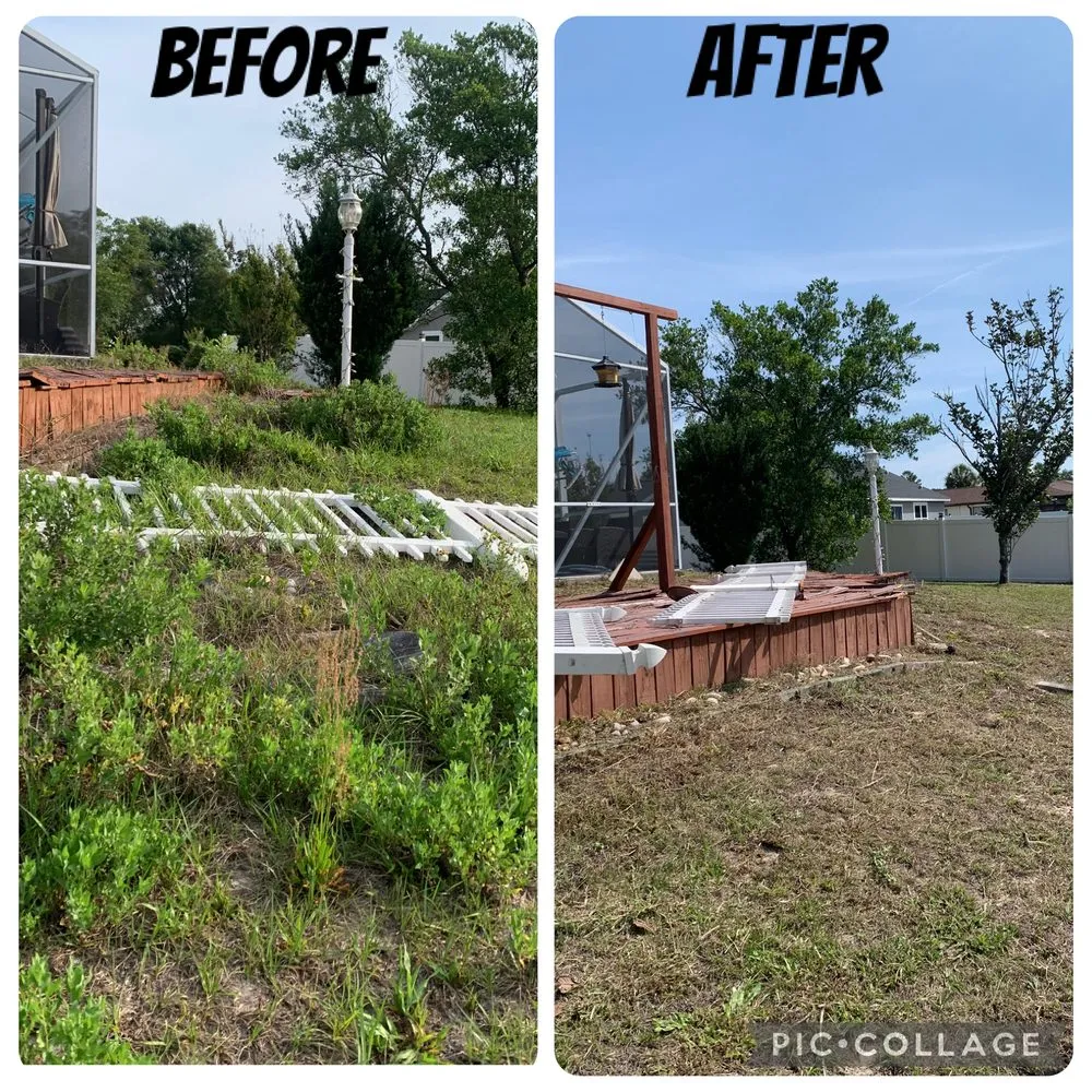 Custom outdoor landscaping for beautiful yards across Ocala, FL - Silverback Lawn Services