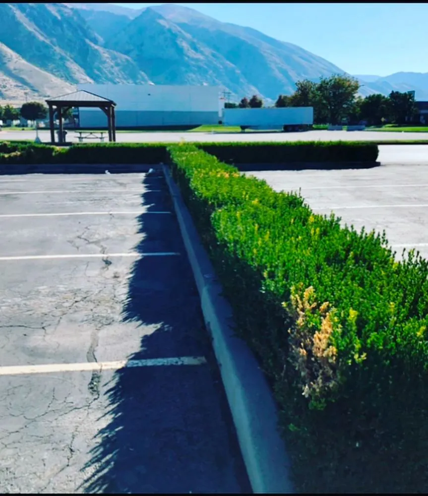 Reliable garden landscaping in Springville, UT - Silverback Property Services