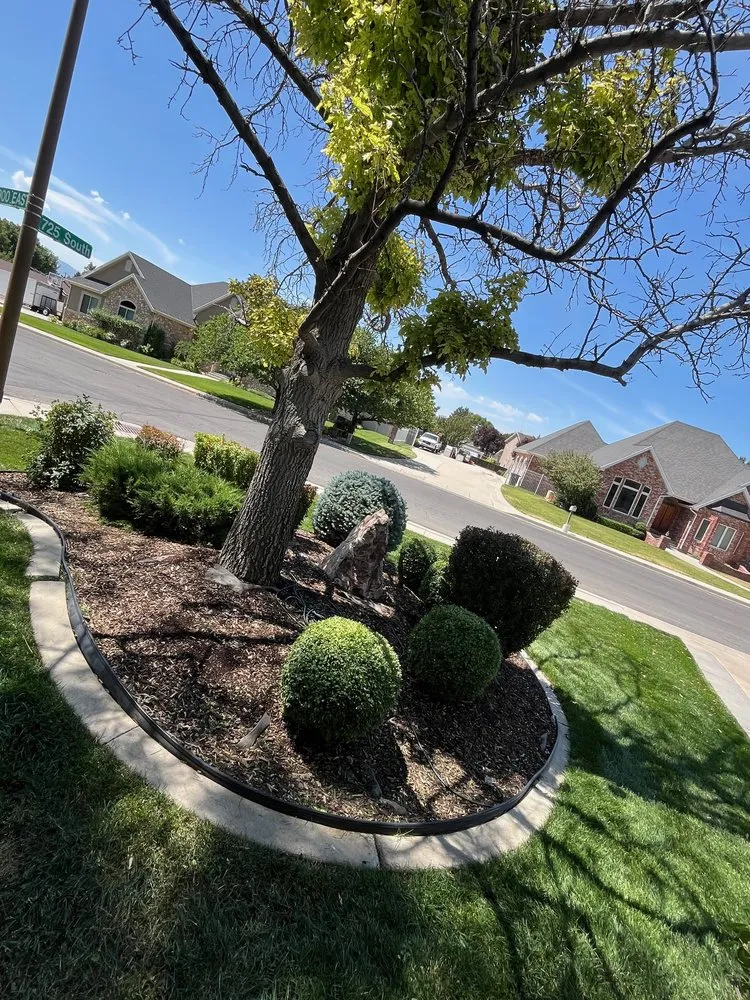 Reliable landscape design experts serving Springville, UT - Silverback Property Services