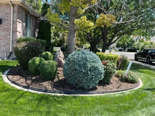 Silverback Property Services