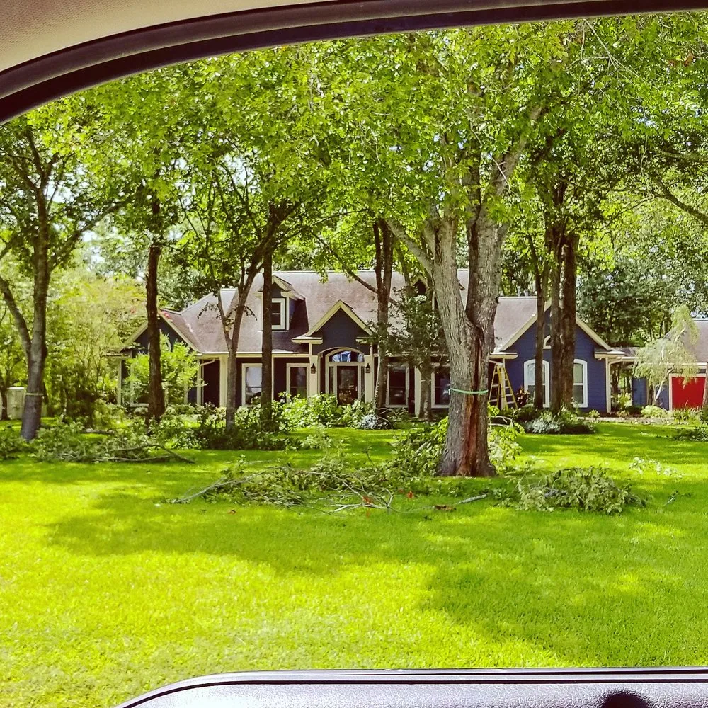 Custom garden landscaping for year-round maintenance across Friendswood, TX - Silverback Tree & Landscaping